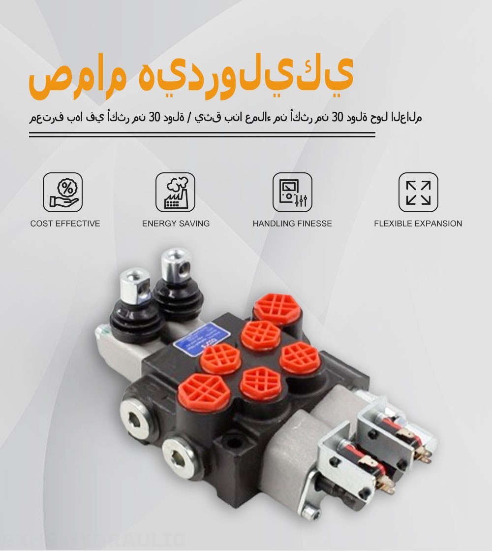 P40 Micro Switch يدوي صمام 2 صمام اتجاهي كتلة واحدة